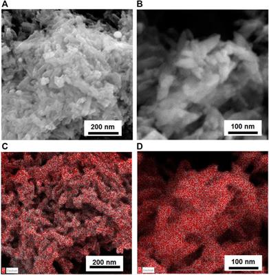 Biostimulants derived from organic urban wastes and biomasses: An innovative approach